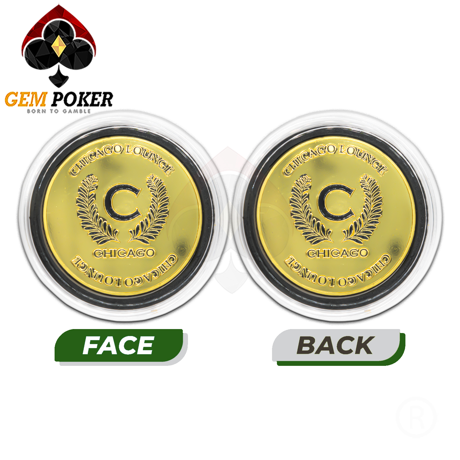 PLACES_Chicago PLACES Chicago